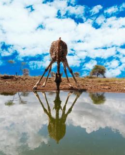 DesertDewEstate - 1