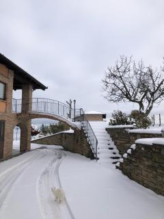 Antica cascina - 8