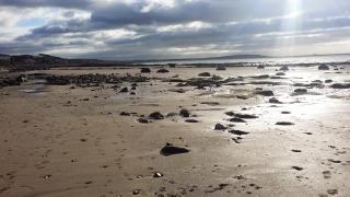 Castaway Beach Cottage, Lower Largo, Fife - 6