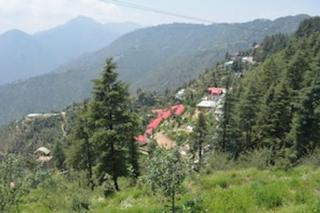 Bliss of nature - 1