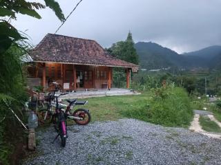 Healing Village - 7