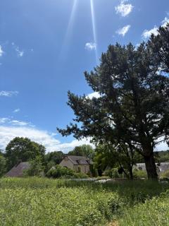 Manoir Saint-André,B&B de charme - 3