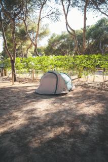 HolaCamp Sitges Garrofer - 8