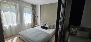 Olive Luxury Apartment few steps away from the sandy beach - 8
