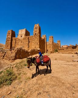 Auberge La Fibule Du Dades - 1