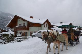 Landhaus Sandra - Dorfgastein - 4