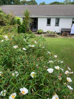 Peaceful garden home with parking - 9
