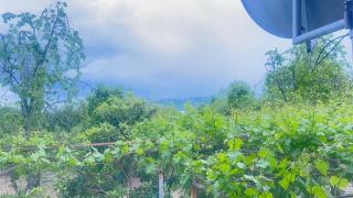 kasumlo village - 3