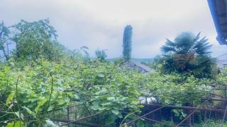kasumlo village - 2