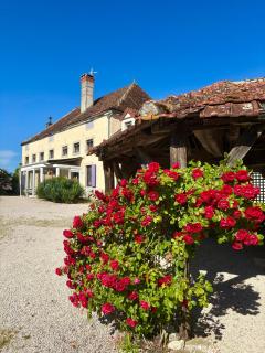 La Marelle - 8
