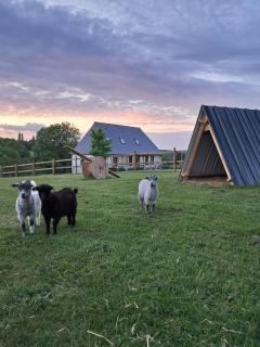 Cottage normand, gîte à la campagne, au calme - 8