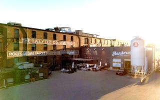 8-Min to Downtown, Stylish 3BR Urban Oasis - 1