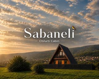 Sabaneli - 40 minutes from Tbilisi - 0