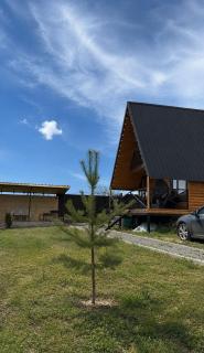 Sabaneli - 40 minutes from Tbilisi - 6