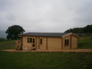 Long Mountain Centre Log Cabins - 4
