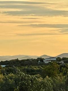 Can Mimosa Guesthouse - 3
