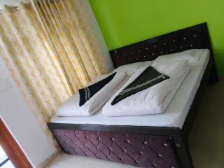 Vinod Tourist Lodge - 9