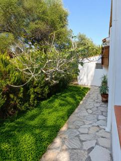Villa le palme - Cala Liberotto - 3