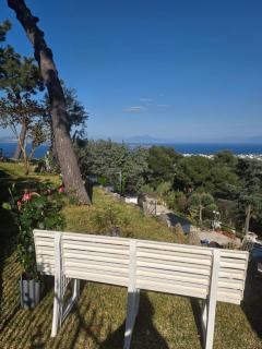 Il Giardino delle Rose - Barano d'Ischia - 8