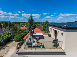 Hilltop Jakuzzi Penthouse - 6
