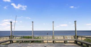 The Horseshoe Crab Cottage at Pickering Beach in Dover, DE - 0