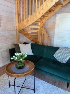Northern Dream Cabin - Levi Ski & Golf - 2
