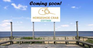 The Horseshoe Crab Cottage at Pickering Beach in Dover, DE - 7