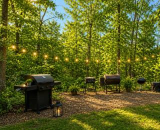 Deep Woods Cabin 2BD 1BA Grill, Firepit, Private Forest, Pet Friendly 4PP - 8