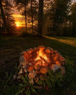 Deep Woods Cabin 2BD 1BA Grill, Firepit, Private Forest, Pet Friendly 4PP - 2