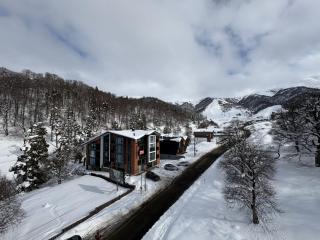Bakuriani Valley 10 - 1