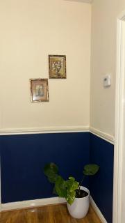 Nunhead SE15 - 5