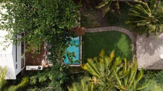 Roots House - 9