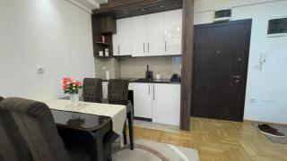 Apartman Aleksic - 5