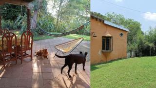Casa del Pájaro Mono - 5