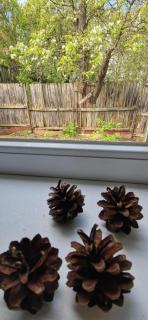 Centrul Vechi rooms - 4
