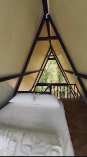The Pinecrest - 8