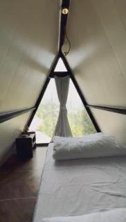 The Pinecrest - 4