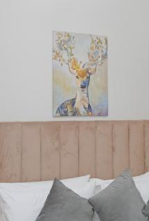 Beachfront Family House With Ocean View at Imi ouadar 10mn from Taghazout - Aghroud - 3