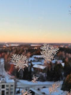 Bright 16th floor home view, sauna and peace - 7