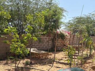 Coco Lodge - 1