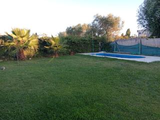 Palmeras - 0