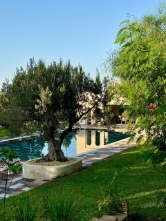 Oliveraie Hammamet - 0