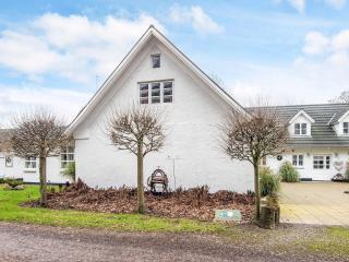 5 star holiday home in Ansager - 0