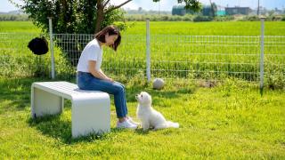 Ganghwa Aboha Pet-Friendly Pension - 3