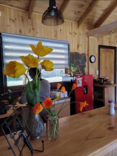 Les Chalets du Belvédère - 6