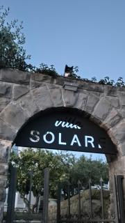 Apartment Solare - 5