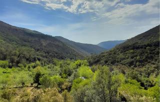 Beautiful Apartment In Casarza Ligure - 1