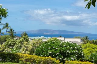 Wailea Ekolu #501 Panoramic Ocean View, Ground Floor, Wifi, A/C, Near Beach - 6