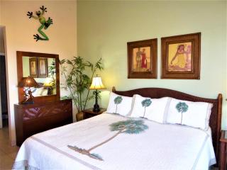 Wailea Ekahi #53-C Hawaiian Beachfront, AC throughout, Easy Pool Access, Wifi - 3