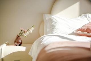 Seednest Stylish & Perfect for Relaxation - 2